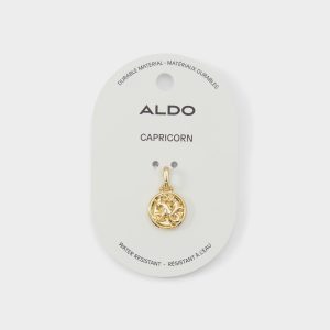 Astrologie Jewelry charm